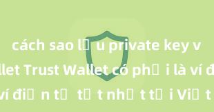 cách sao lưu private key ví trust wallet Trust Wallet có phải là ví điện tử tốt nhất tại Việt Nam không?